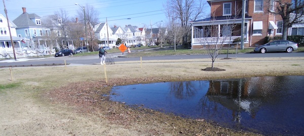 Wooden stakes are footprint of proposed Central Park bathroom. The tops of the stakes indicate the floor level required to prevent flooding from the adjoining drainage pond.