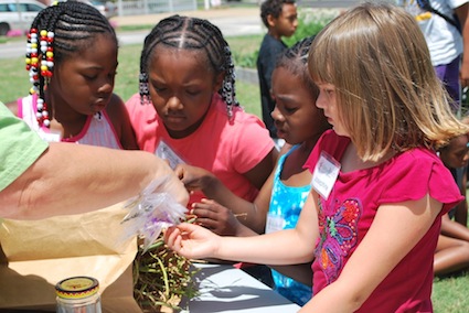 Collecting seeds for next year's garden is one of the learning experiences at New Roots. (Photo: Tammy Holloway)