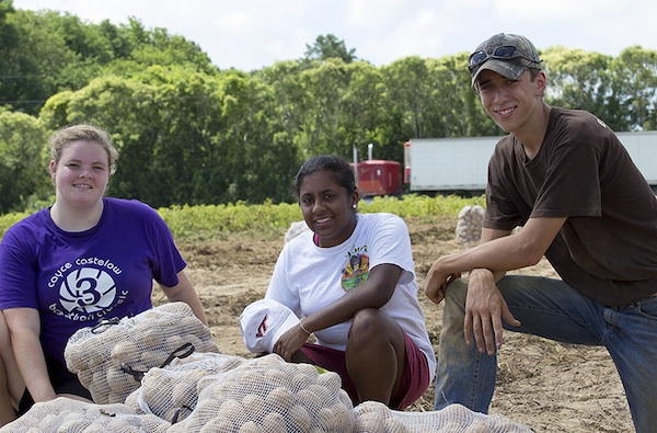 Three gleaners: Emily Taylor, Minaka Gunesekera, Tim Blanton