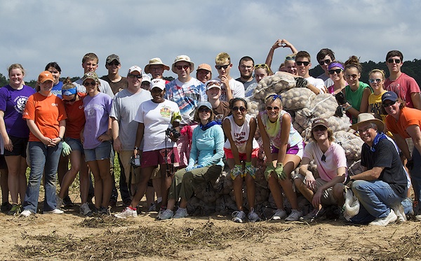 Volunteer gleaners: Like the hands in the background, hearts are at work. (Photo by Sher Horosko)