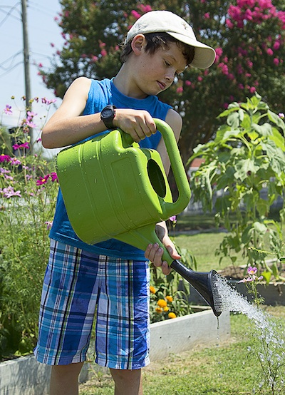 Ryan Joseph Abraham, 8, waters plants at New Roots Youth Garden. (Photo by Sher Horosko)