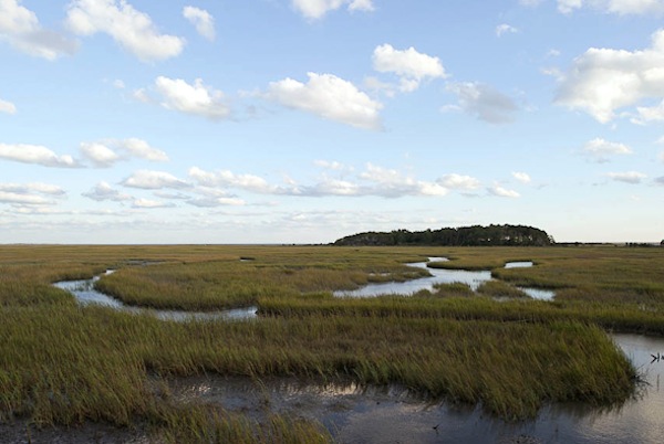 This is what the writer came to see -- marshland at Eastern Shore of Virginia National Wildlife Refuge -- but she also wrote about the  Town of Cape Charles. (Photo by Xavier de Jauréguiberry, Flickr)