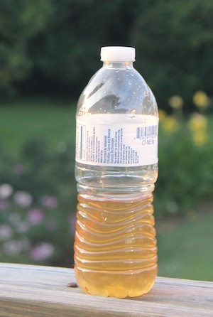 Water sample taken from Town Harbor at floating docks near discharge pipe from Town waterworks. (Wave photo)