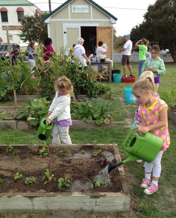 Children water swiss chard and spinach at New Roots Youth Garden Fall Garden Club. (Photo: Tammy Holloway)