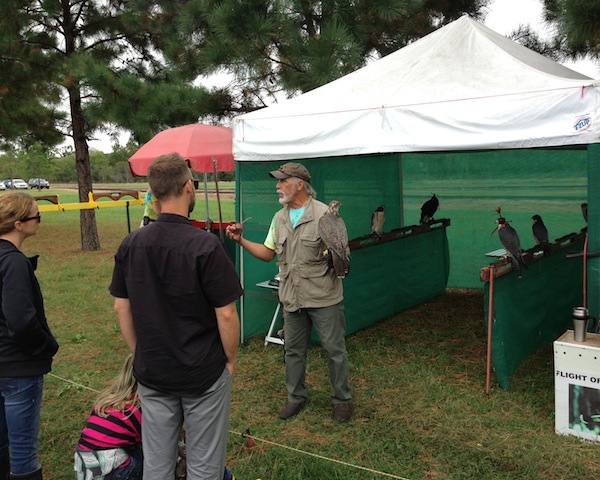 Ray Pena returns to Cape Charles with his popular "Flight of the Raptor" exhibition.