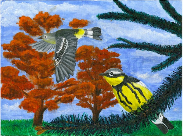 Magnolia Warbler by Sarah Cashwell, Broadwater Academy, Winner - 2013 Festival Art Contest