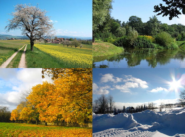 Four_seasons2