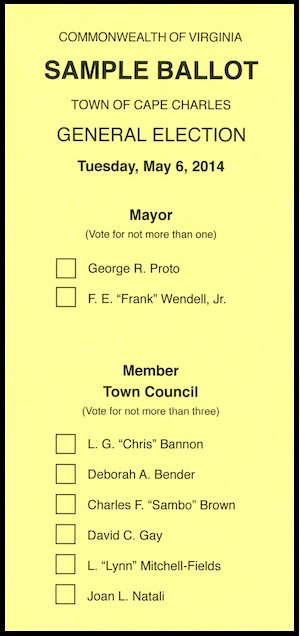 sample ballot