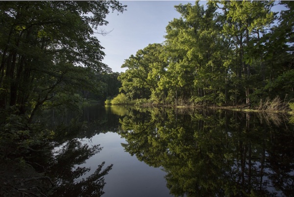 Washington Post photographer Jay Westcott captured this image of Custis Pond in Savage Neck Dunes -- near Cape Charles but missed by most tourists and quite a few residents.