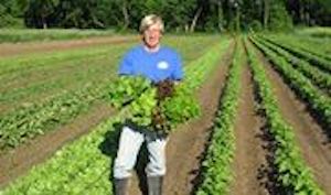 Mattawoman Creek Farms in Eastville is Community Supported Agriculture.