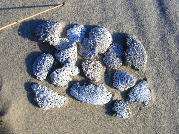 BeachLace.